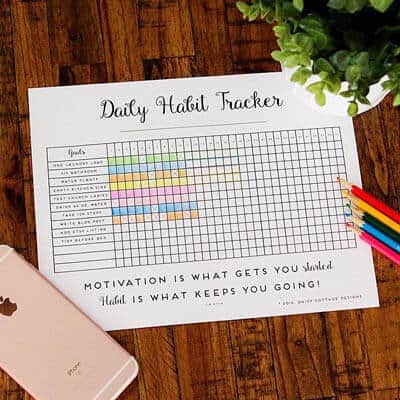 Daily Habit Tracker: A Printable Goal Tracker