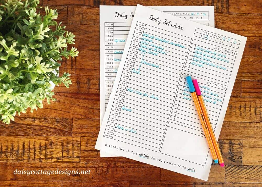 Free Printable Daily Planner for getting on track in 2017. Use this printable schedule to stay motivated and keep your resolutions in the new year.