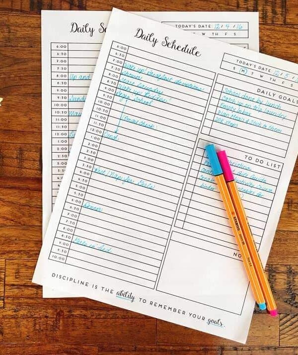 Printable Daily Planner for the New Year