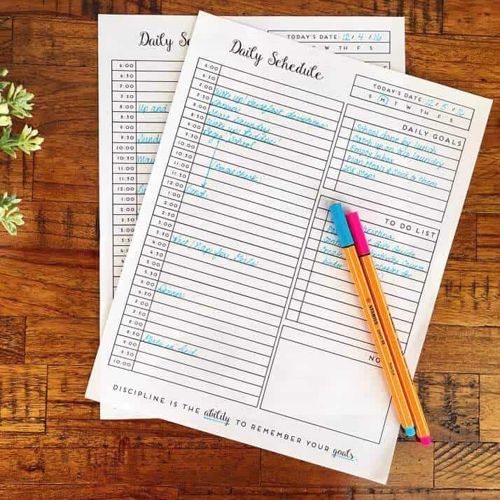 Printable Daily Planner for the New Year - Daisy Cottage Designs