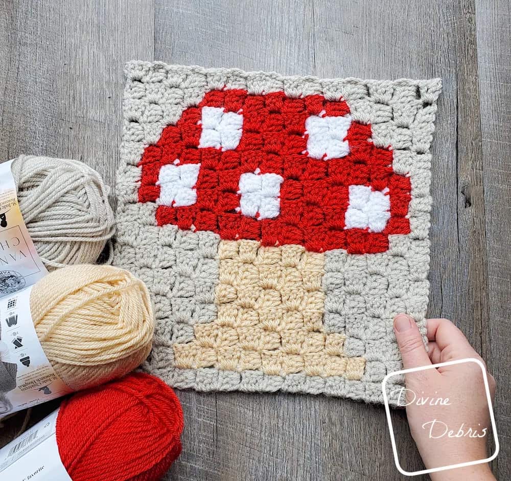 C2C Crochet Mushroom