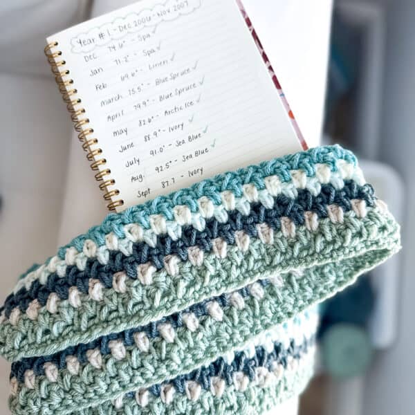 Crochet Temperature Blanket – With a Twist!